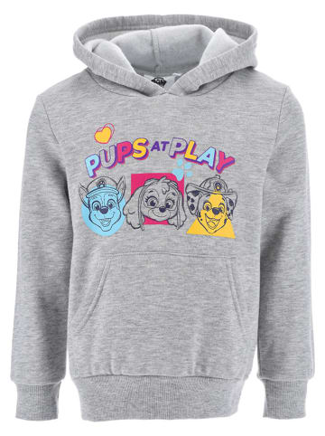 Paw Patrol Hoodie "Paw Patrol" in Grau