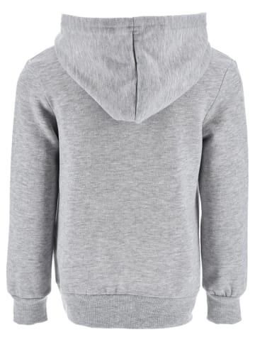 Paw Patrol Hoodie "Paw Patrol" grijs