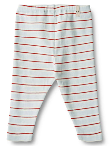 Wheat Leggings "Silas" in Hellblau/ Rot