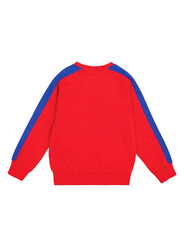 Champion Sweatshirt in Rot/ Blau