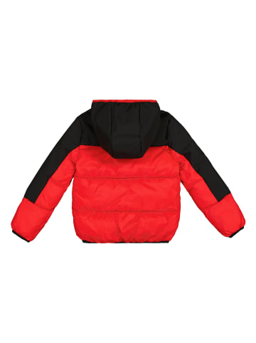 Champion Steppjacke in Rot/ Schwarz