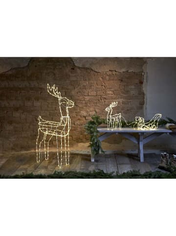 STAR Trading Decoratieve ledfiguur "Tuby Deer" warmwit - (B)100 x (H)35 x (D)12 cm