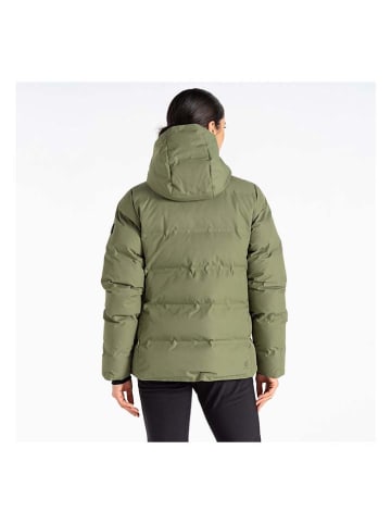 Dare 2b Steppjacke "Entrusted" in Khaki