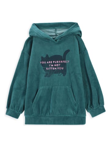 Coccodrillo Hoodie in Grün