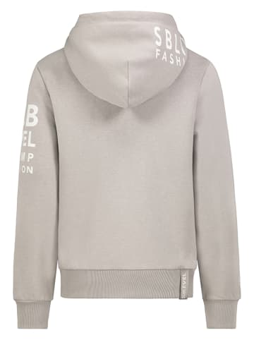 Sublevel Hoodie grijs