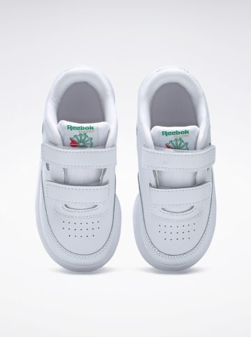 Reebok Leder-Sneakers "Club C 2v" in Weiß