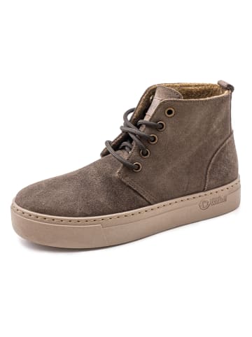natural world Leder-Boots in Braun