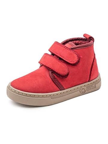 natural world Leder-Boots in Rot