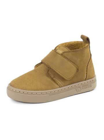 natural world Leder-Boots in Hellbraun