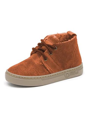 natural world Leder-Boots in Hellbraun