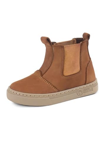 natural world Leder-Chelsea-Boots in Hellbraun
