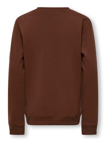KIDS ONLY Sweatshirt "Franklin" bruin