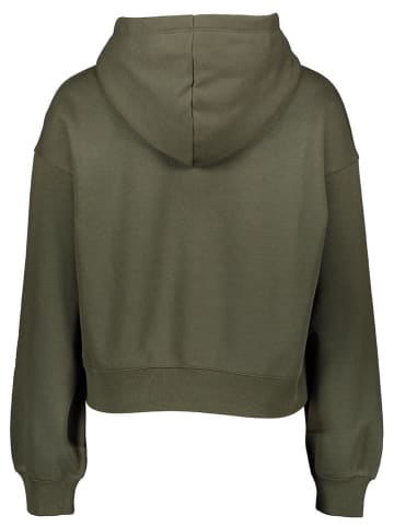 Champion Sweatshirt in Khaki