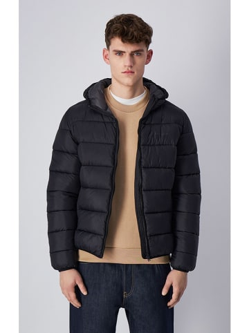 Champion Steppjacke in Schwarz