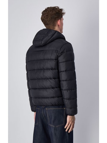 Champion Steppjacke in Schwarz