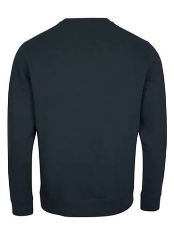 O'Neill Sweatshirt "Logo" in Dunkelblau