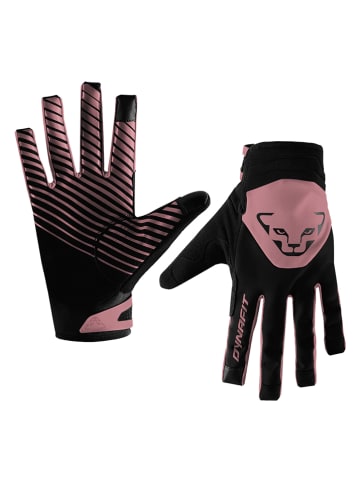 DYNAFIT Softshellhandschoenen "Radical 2" zwart/lichtroze