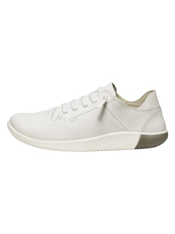 Keen Leder-Sneakers "KNX Unlined" in Weiß