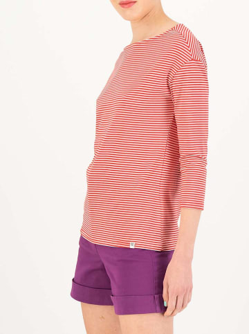 Blutsgeschwister Shorts "Hipsta Holiday Scout" in Lila