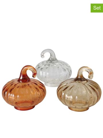 Boltze 3-delige set: decoratieve objecten "Pumki" bruin/kleurloos/beige - (H)8,5 cm