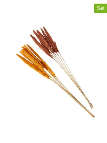 Boltze 12-delige set: decoratieve takken "Pampasgras" rood/oranje