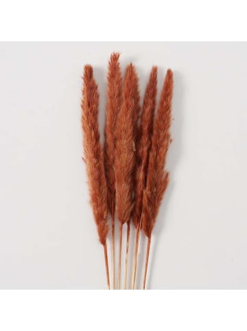 Boltze 12-delige set: decoratieve takken "Pampasgras" rood/oranje