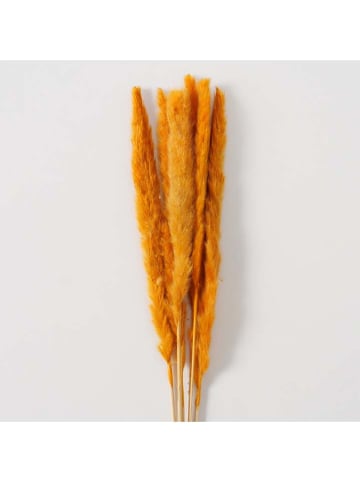 Boltze 12er-Set: Dekozweige ''Pampasgrass'' in Rot/ Orange