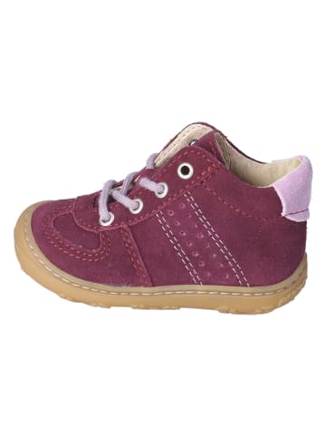 PEPINO Leder-Lauflernschuhe "Sami" in Pflaume