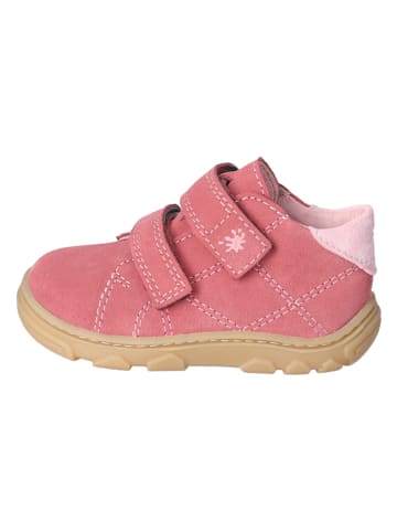 PEPINO Leder-Lauflernschuhe "Ryder" in Rosa