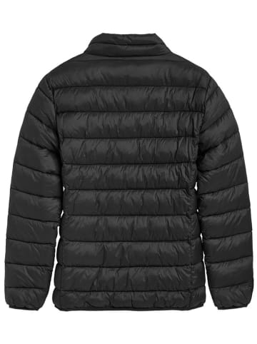 Polo Club Steppjacke in Schwarz