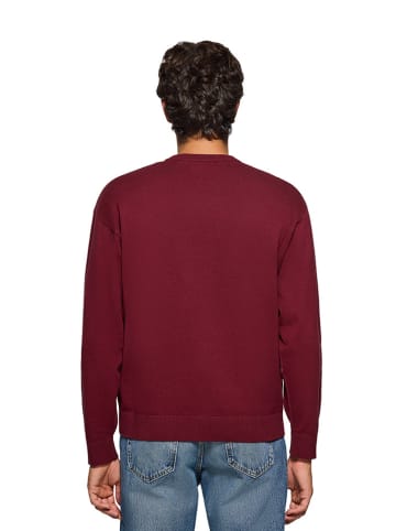 Polo Club Sweter w kolorze bordowym