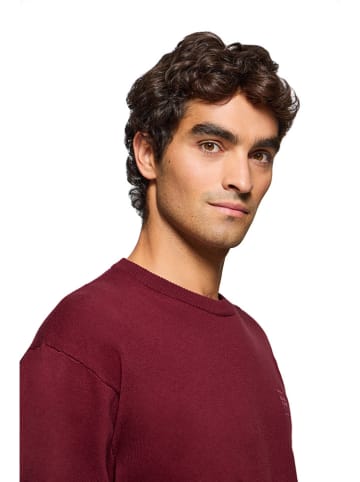 Polo Club Pullover in Bordeaux