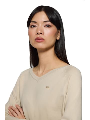 Polo Club Pullover in Beige