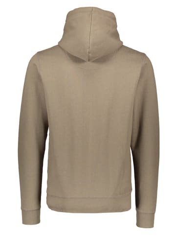 Petrol Industries Hoodie in Braun