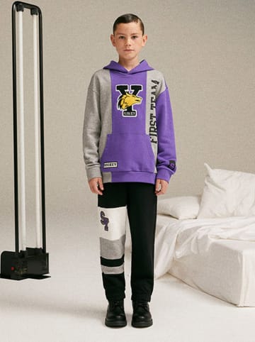 Sisley Hoodie in Grau/ Violett