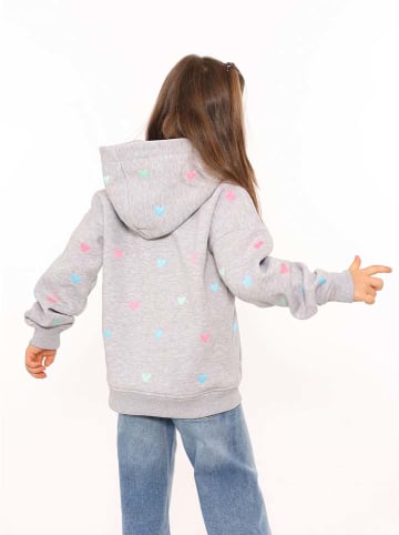 Zwillingsherz Hoodie "Hearts" grijs/lichtblauw/lichtroze