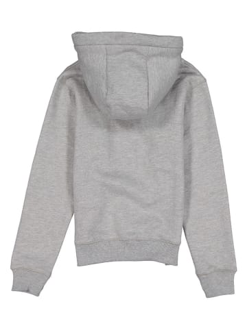 Bench Hoodie grijs