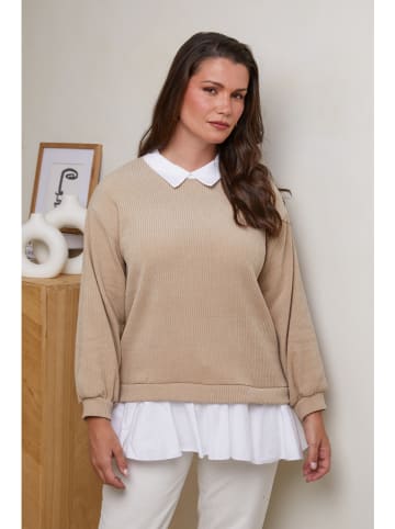 Curvy Lady Trui beige
