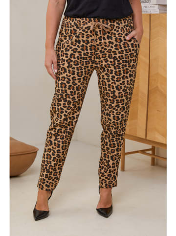 Curvy Lady Broek bruin