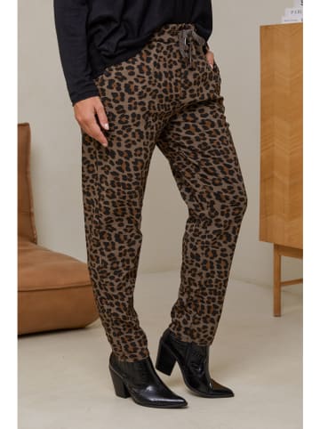 Curvy Lady Broek donkerbruin