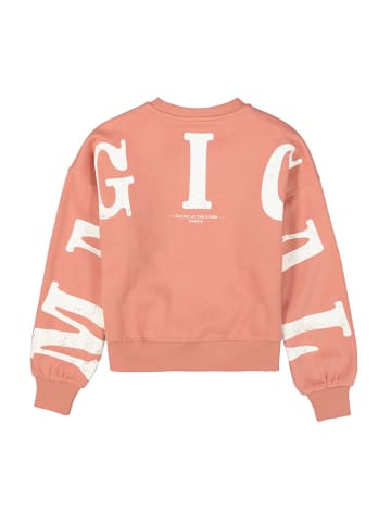 Garcia Sweatshirt in Rosa