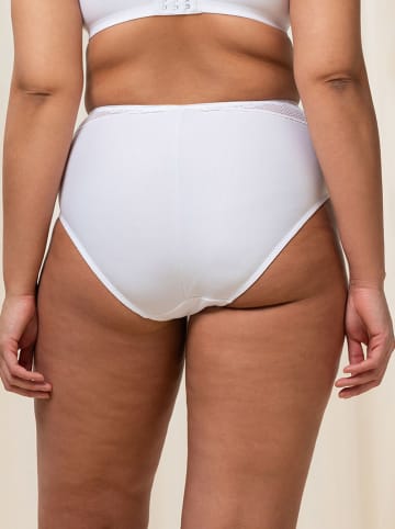 Triumph Taillehipster wit