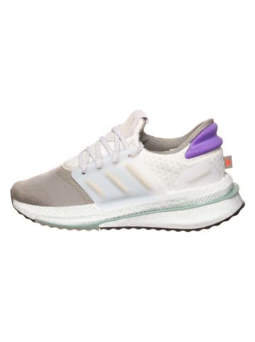 adidas Sneakers "X PLRboost" crème/beige