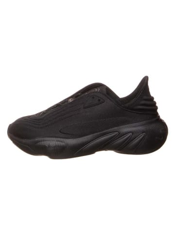 adidas Buty "Adifom" w kolorze czarnym do biegania
