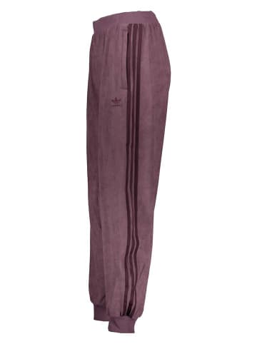 adidas Sweathose in Lila
