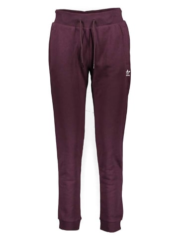 adidas Sweathose in Aubergine