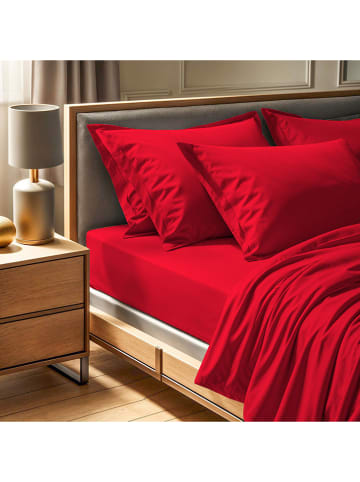 Colourful Cotton Renforcé hoeslaken rood