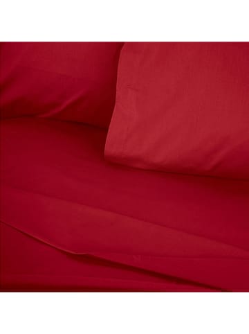 Colourful Cotton Renforcé hoeslaken bordeaux