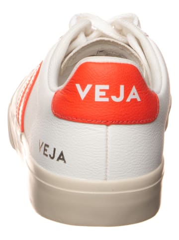 Veja Leder-Sneakers "Campo" in Weiß/ Orange