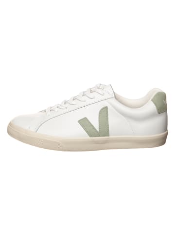 Veja Leder-Sneakers "Esplar" in Weiß/ Grün